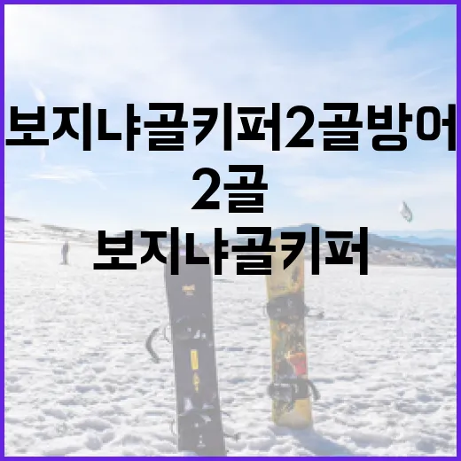 보지냐 골키퍼 2골 방어 장면을 기록으로 다시 봤더니 보이는 것들 - 요약