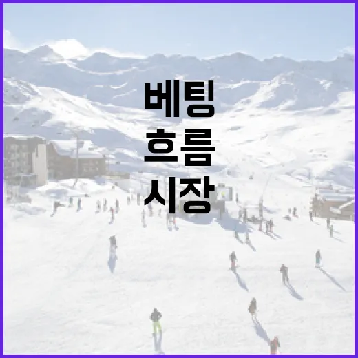 롤빗 배당 흐름을 따라가 봤더니 보인 스포츠 베팅 시장의 진짜 이야기 - 요약