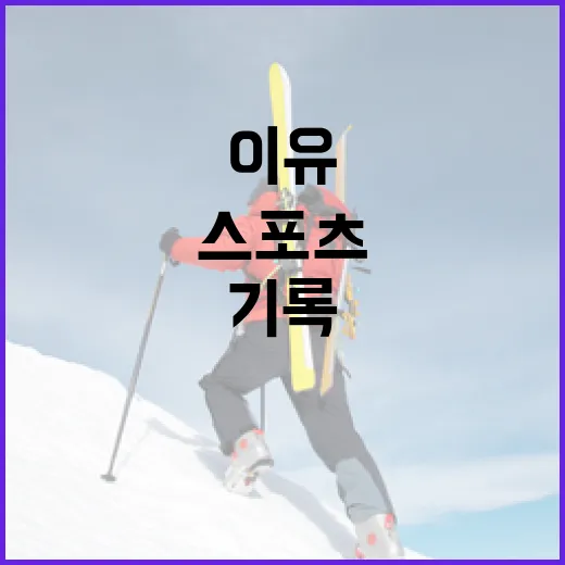 스포츠 기록 보듯 게임추천을 골라봤더니 오래 붙잡는 이유가 보였다 - 요약