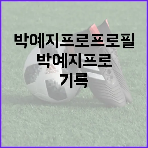 박예지 프로 프로필을 기록 중심으로 찾아봤더니 보이는 진짜 이야기 - 요약