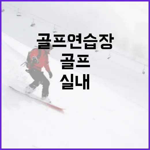 실내골프연습장 몇 달 다녀봤더니, 스코어보다 먼저 바뀐 숫자들 - 요약