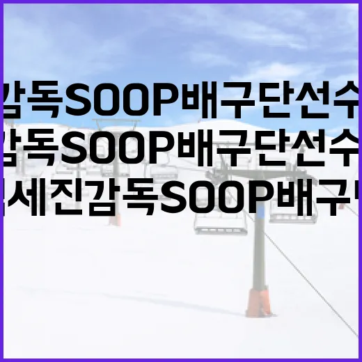 김세진 감독 SOOP 배구단 선수단 명단, 이름보다 먼저 보이는 팀의 방향 - 요약