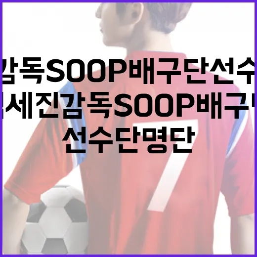김세진 감독 SOOP 배구단 선수단 명단을 기록쟁이 눈으로 읽어봤더니 - 요약