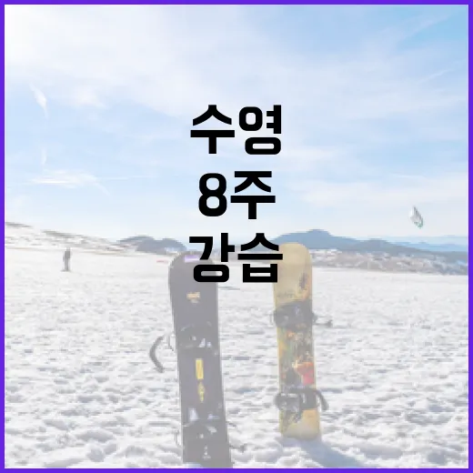 수영강습 8주 다녀봤더니 기록보다 먼저 바뀐 것들 - 요약