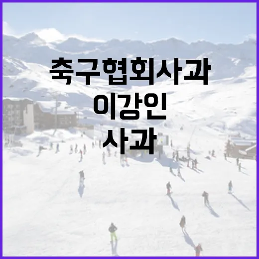 축구협회 사과 뒤에도 가라앉지 않은 이강인 후폭풍, 기록보다 오래 남은 장면들 - 요약