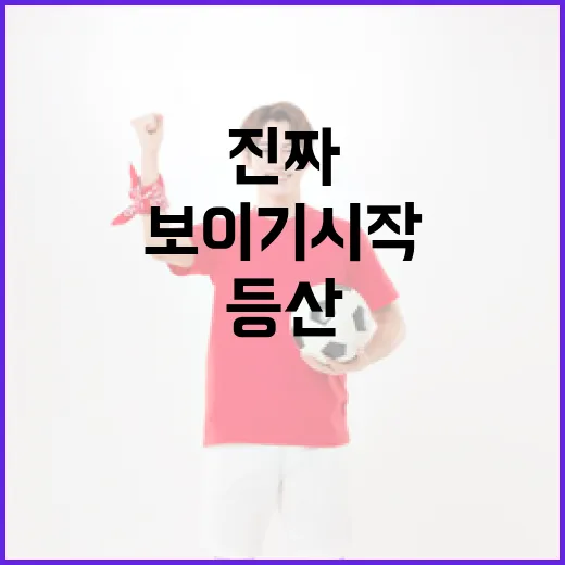 등산 기록을 경기처럼 챙겨봤더니 보이기 시작한 진짜 흐름 - 요약