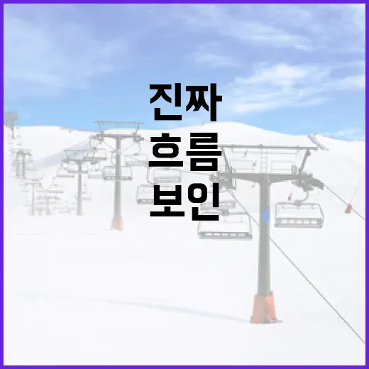 스포츠 기록 보듯 쇼피파이를 뜯어봤더니 보인 운영의 진짜 흐름 - 요약