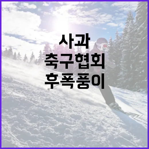 축구협회 사과 뒤에도 이강인 후폭풍이 커진 진짜 이유 - 요약