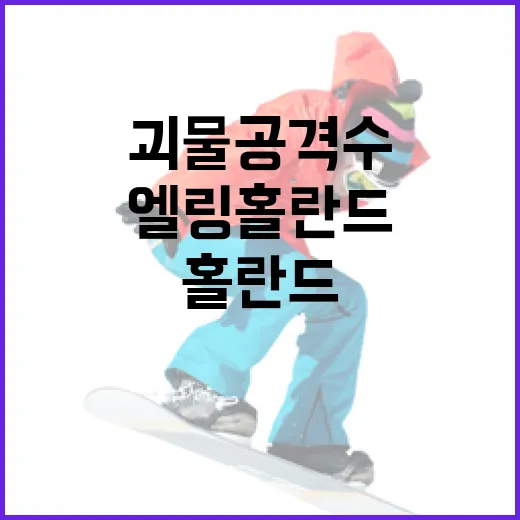 엘링 홀란드를 숫자로 따라가봤더니, 괴물 공격수보다 더 흥미로운 이야기가 보였다 - 요약