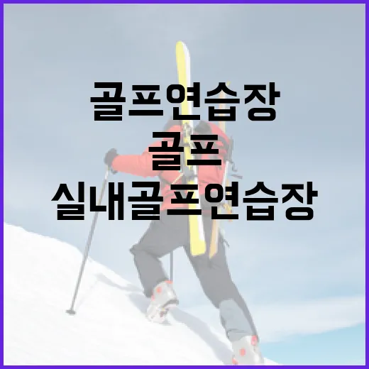 실내골프연습장 몇 달 다녀봤더니, 스코어보다 먼저 보인 숫자의 변화 - 요약
