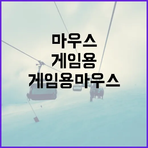 게임용마우스 바꿔봤더니 기록지가 먼저 반응했다 - 요약