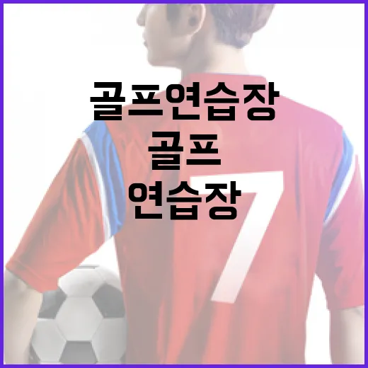실외골프연습장에 몇 주 다녀봤더니, 공의 숫자가 다르게 보였다 - 요약