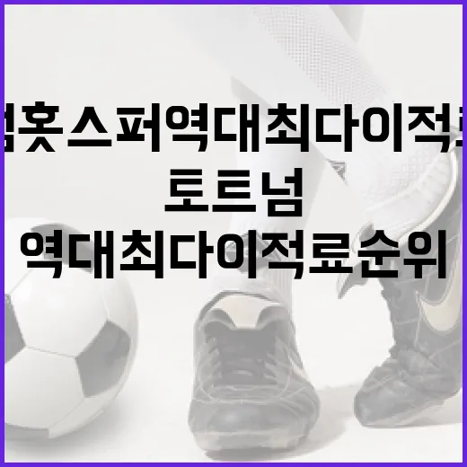 토트넘 홋스퍼 역대 최다 이적료 순위, 숫자로 다시 읽어봤더니 - 요약