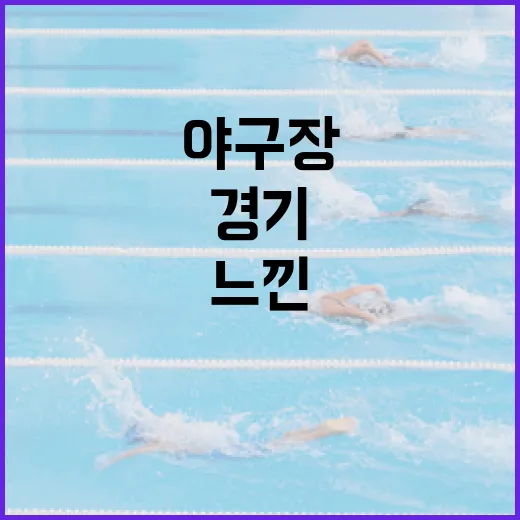 야구장에서 느낀 스팀, 숫자로 따라가봤더니 보인 경기의 온도 - 요약