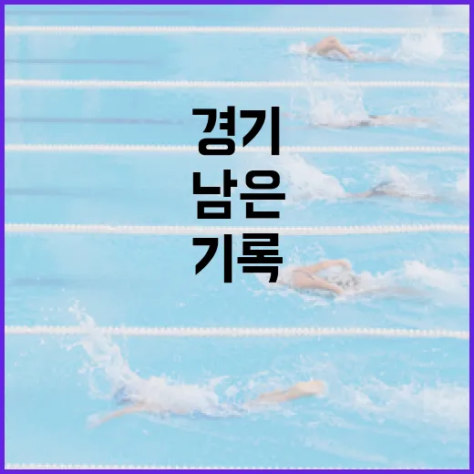 스포츠를 기록으로 따라가 봤더니 경기 결과보다 오래 남은 장면들 - 요약