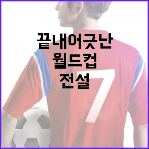 월드컵과 끝내 어긋난 전설 3명을 다시 떠올려봤더니 - 요약