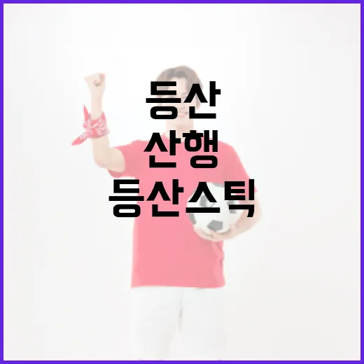 등산스틱 들고 산행 기록을 다시 봤더니, 페이스가 달라진 진짜 이유 - 요약