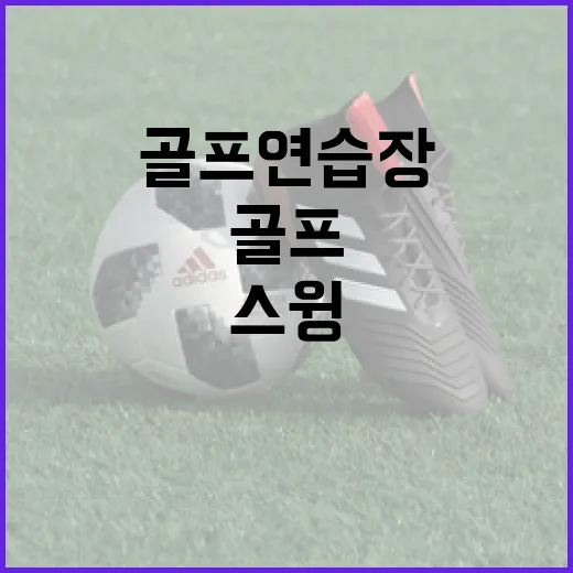 실외골프연습장에 몇 번 나가봤더니, 스윙 기록이 다르게 보였다 - 요약