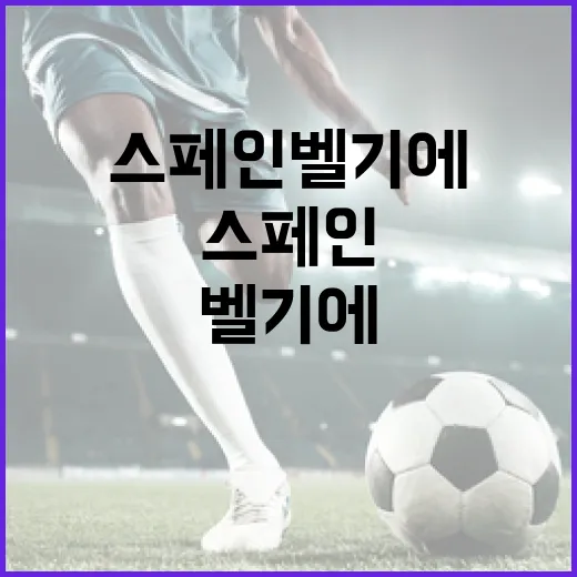 스페인 벨기에 맞대결 기록을 따라가 봤더니 보이는 진짜 차이 - 요약