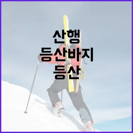 등산바지 입고 산행 기록을 남겨봤더니 보인 진짜 차이 - 요약