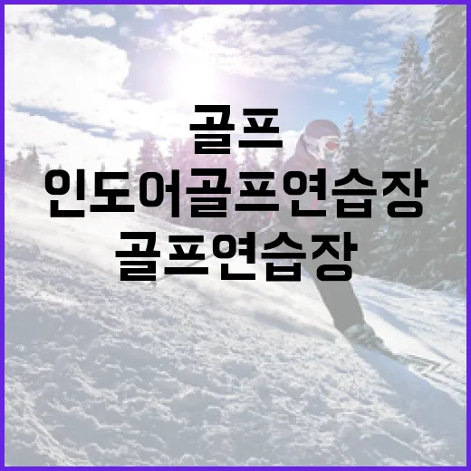 인도어골프연습장 다녀보니 스윙 기록이 먼저 말을 걸었다 - 요약