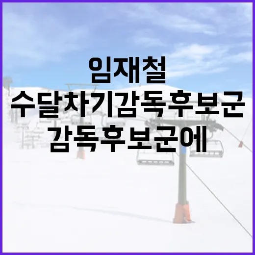 임재철이 수달 차기 감독 후보군에 오른다는 말, 기록으로 다시 보니 꽤 흥미롭다 - 요약