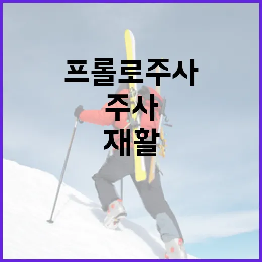 프롤로주사 기록지를 들여다봤더니 보인 재활의 진짜 흐름 - 요약