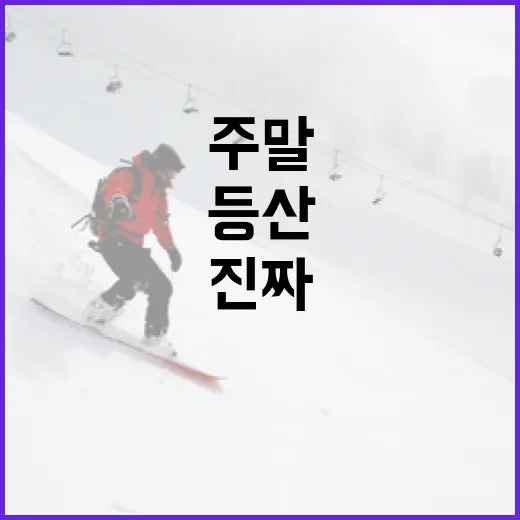 주말마다 등산 기록을 재봤더니 보인 진짜 체력의 이야기 - 요약