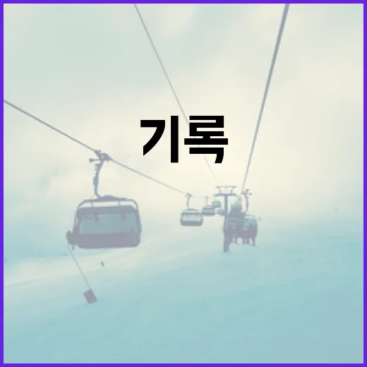 나눔 올스타를 기록으로 따라가 봤더니 보인 진짜 이야기 - 요약