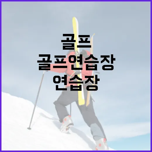 실내골프연습장 몇 달 다녀봤더니, 스코어보다 먼저 보인 숫자의 진짜 이야기 - 요약