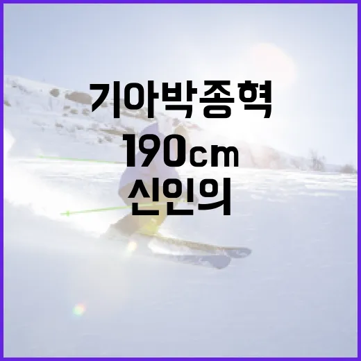기아 박종혁의 190cm를 기록지로 읽어봤더니, 신인의 경쟁력이 꽤 선명했다 - 요약