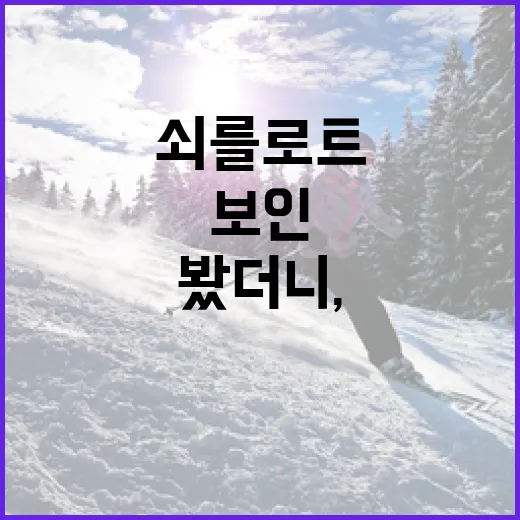 쇠를로트를 따라가 봤더니, 숫자보다 먼저 보인 건 ‘타이밍’이었다 - 요약