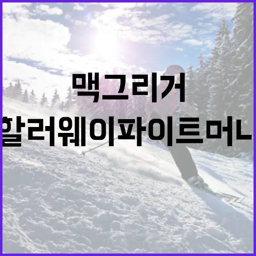 맥그리거와 할러웨이 파이트머니를 따라가 봤더니, 13년 사이 UFC 돈의 지형이 보였다 - 요약