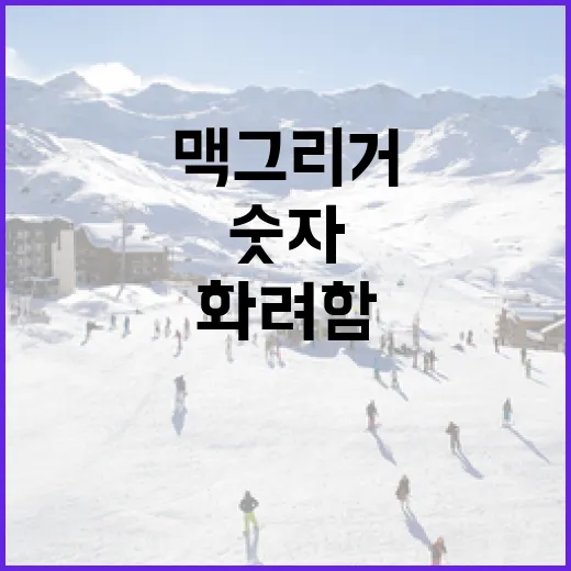 맥그리거 전적을 다시 훑어봤더니, 화려함보다 숫자가 더 냉정했다 - 요약