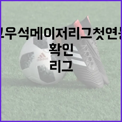 고우석 메이저리그 첫 연봉을 숫자로 확인해봤더니 보이는 것들 - 요약