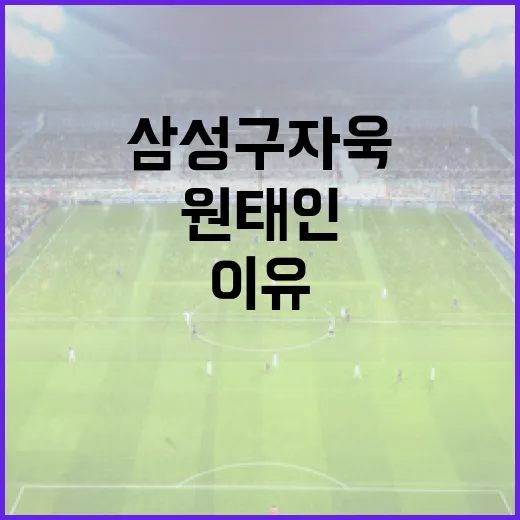 삼성 구자욱·원태인 이적설을 기록으로 뜯어봤더니 보이는 진짜 이유 - 요약