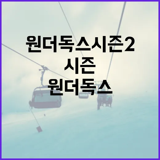 원더독스 시즌2를 따라가봤더니 숫자보다 먼저 보인 흐름 - 요약