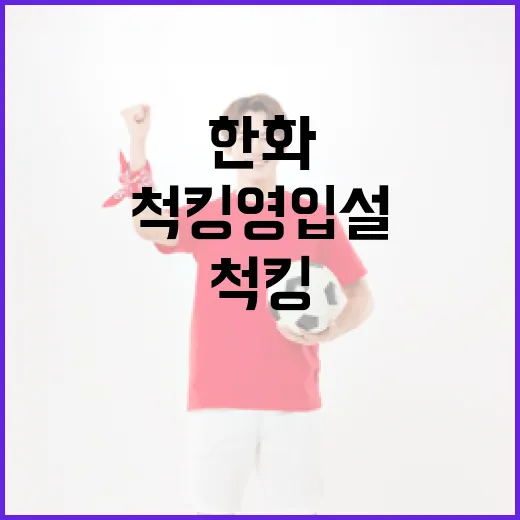 한화 이글스 척 킹 영입설을 따라가 봤더니, 숫자보다 먼저 보이는 것들 - 요약