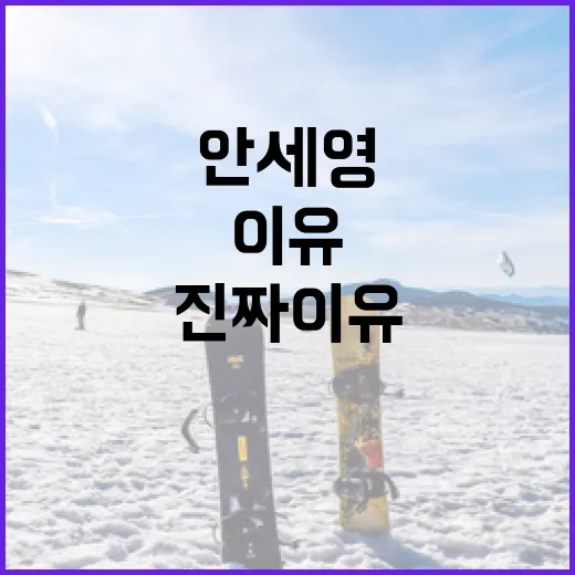 안세영 16강 기권, 점수판만 보면 안 보이는 진짜 이유를 따라가봤더니 - 요약