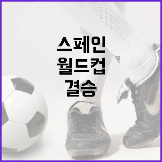 스페인이 월드컵 결승까지 올라간 진짜 이야기, 점유율 뒤에 숨은 승부의 디테일 - 요약