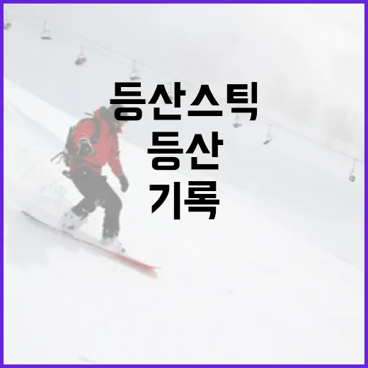 등산스틱 들고 산에 올라봤더니, 기록이 먼저 달라졌다 - 요약