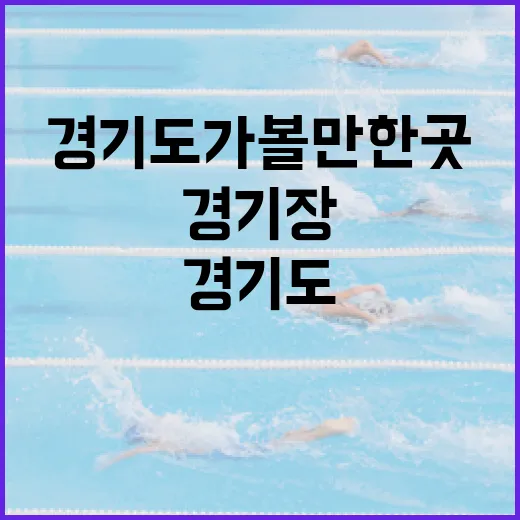 경기도 가볼만한곳을 경기장 중심으로 돌아봤더니, 기록이 보이는 하루가 됐다 - 요약