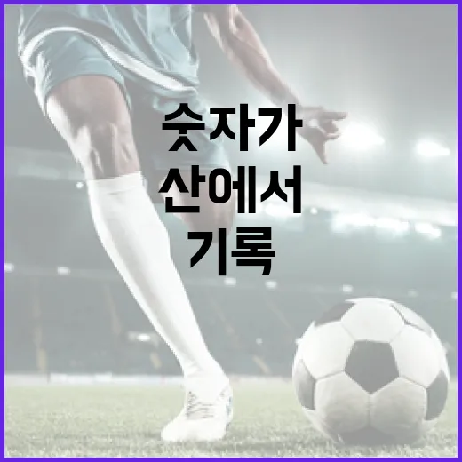 등산복을 기록 보듯 챙겨봤더니 산에서 숫자가 먼저 보였다 - 요약