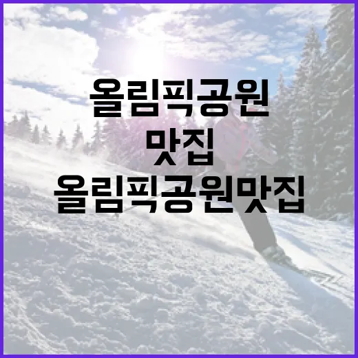 올림픽공원맛집을 경기 전 루틴처럼 돌아봤더니 보인 진짜 이야기 - 요약