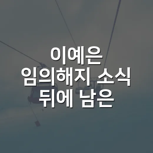 이예은 임의해지 소식 뒤에 남은 도로공사의 숫자를 따라가 봤더니 - 요약