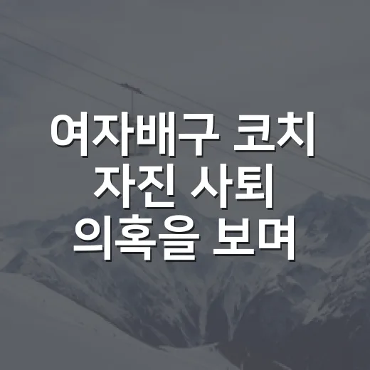 여자배구 코치 자진 사퇴 의혹을 보며, 기록표 밖의 시스템을 다시 봤다 - 요약