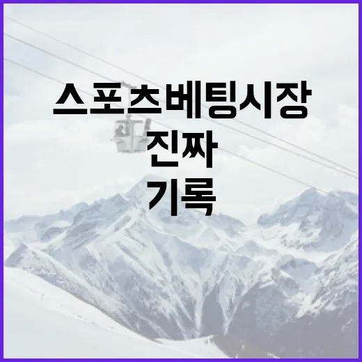 롤빗을 기록 관점으로 봤더니 보이는 스포츠 베팅 시장의 진짜 흐름 - 요약