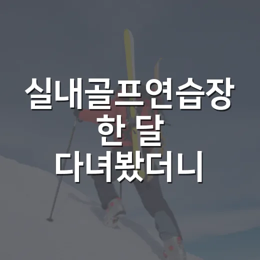 실내골프연습장 한 달 다녀봤더니, 스코어보다 먼저 바뀐 숫자들 - 요약
