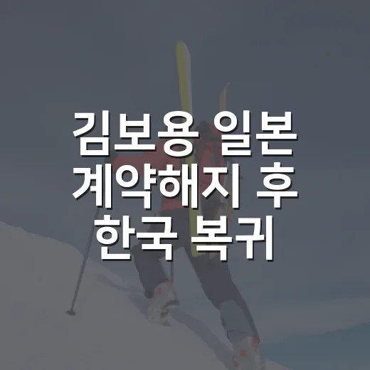 김보용 일본 계약해지 후 한국 복귀 추진, 기사 하나 따라가 봤더니 보인 진짜 포인트 - 요약
