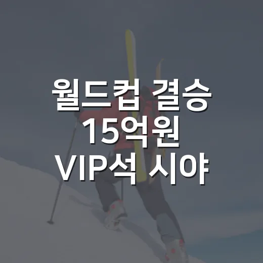 월드컵 결승 15억원 VIP석 시야 논란, 가장 비싼 자리가 왜 조롱받았나 - 요약